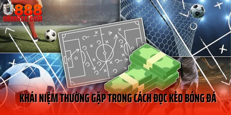 Khái niệm thường gặp trong cách đọc kèo bóng đá Khái niệm thường gặp trong cách đọc kèo bóng đá