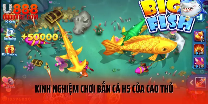 Kinh nghiệm chinh phục bắn cá H5 của cao thủ Kinh nghiệm chinh phục bắn cá H5 của cao thủ