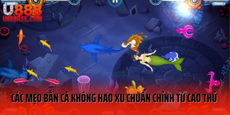 Các mẹo bắn cá không hao xu chuẩn chỉnh từ cao thủ Các mẹo bắn cá không hao xu chuẩn chỉnh từ cao thủ