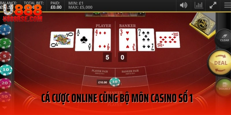 Cá cược online cùng bộ môn casino số 1 Cá cược online cùng bộ môn casino số 1